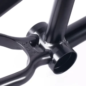 Marco Cult Heavens Gate